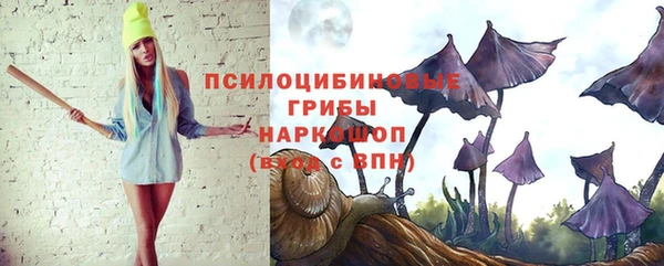 твердый Семикаракорск
