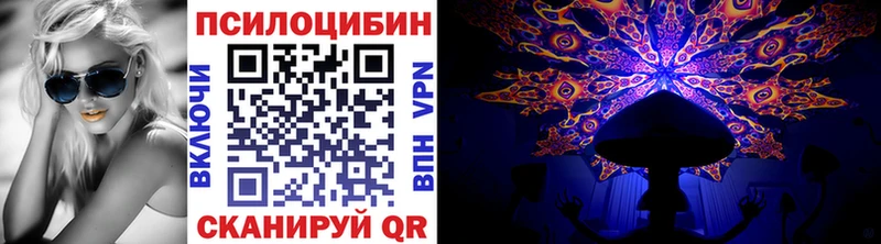 Галлюциногенные грибы мицелий  где продают наркотики  omg ссылка  Нижний Новгород 